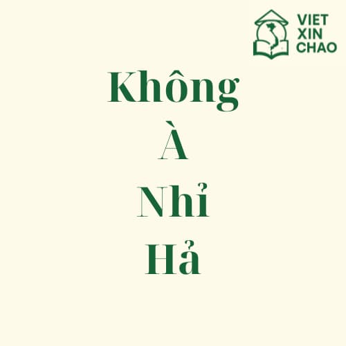 Why do Vietnamese people sometimes put question particles like không, à, nhỉ, or hả at the end of a sentence?